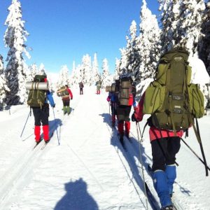 Bøler på skitur