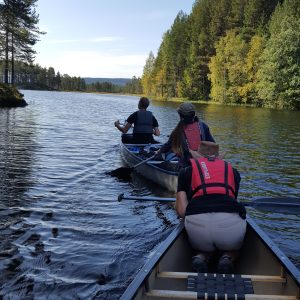 Kanoer i rekke