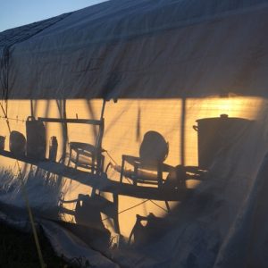 Grünnerløkka MS mat telt i solnedgang